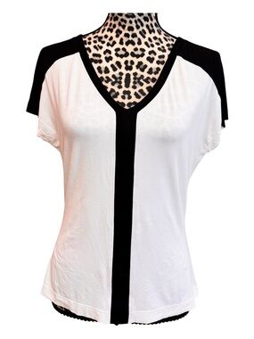 St. John Sport Color Blocked Fitted Tee